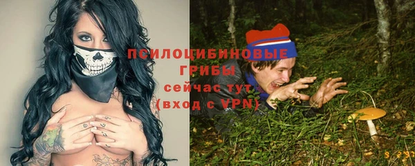 первитин Богородицк