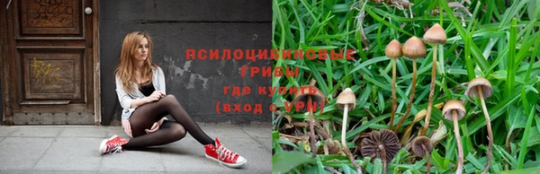 первитин Богородицк