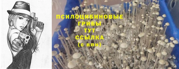 первитин Богородицк