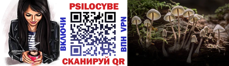 цена   Великий Устюг  Псилоцибиновые грибы Magic Shrooms 